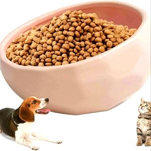 Kathson Ceramic Slanted Dog Bowl Cat Food Water Bowls Dish Pet